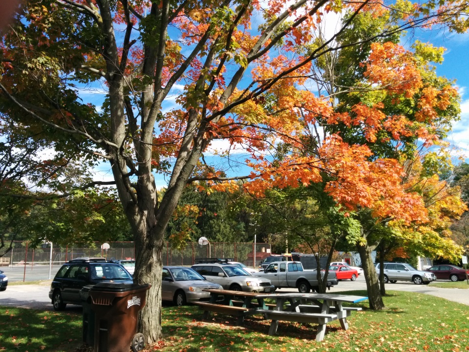 Yellow Springs, Ohio Imagery - 7 of 31