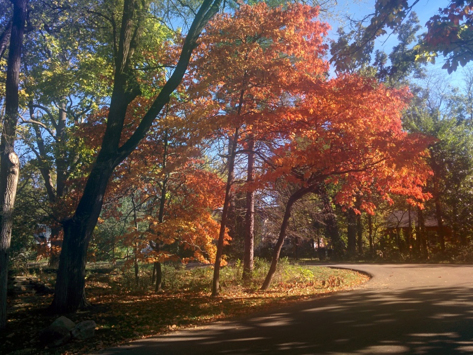 Yellow Springs, Ohio Imagery - 8 of 31