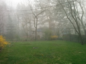 It's hard to see precise details, but you're seeing pea-sized hail coming down in our back yard.