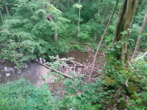 One of many Glen Helen waterfalls.