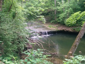 Another of Glen Helen's many waterfalls.