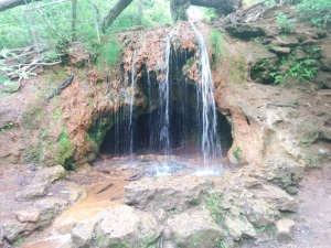 This waterfall is fed directly by Yellow Springs' Yellow Springs.