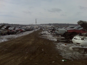 The automotive graveyard I looted.