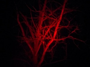 Red Beam, go!